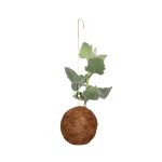 planteplaneter succulent mobile hanging plants Kaja Skytte danish design