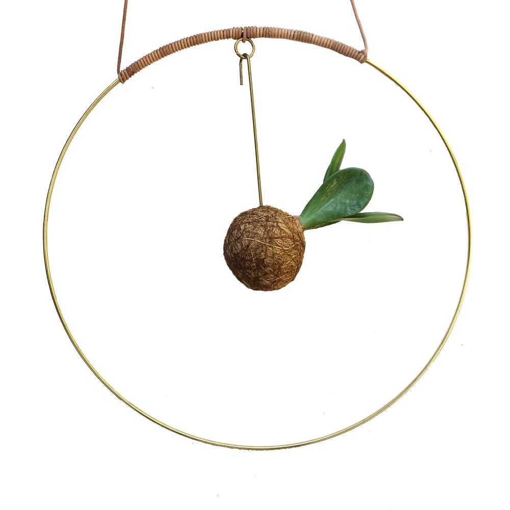 Planteplanet i brass circle hanging interior handmade design